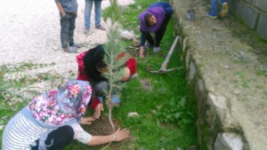 photo_2019-02-03_10-44-19