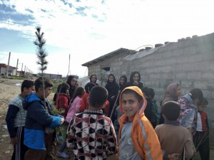 photo_2019-02-03_10-44-24