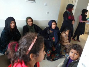 photo_2019-02-03_10-48-23