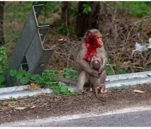 photo_2019-05-18_09-26-33