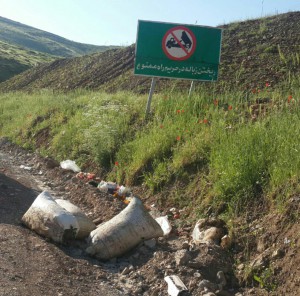 photo_2019-05-25_13-34-50