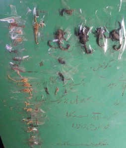 photo_2019-07-15_12-32-47