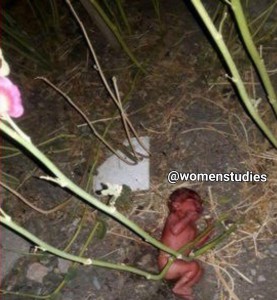 photo_2019-07-31_11-21-51