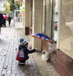 photo_2019-09-03_19-05-02