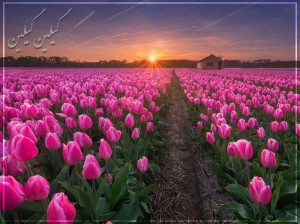 photo_2019-09-07_14-25-45